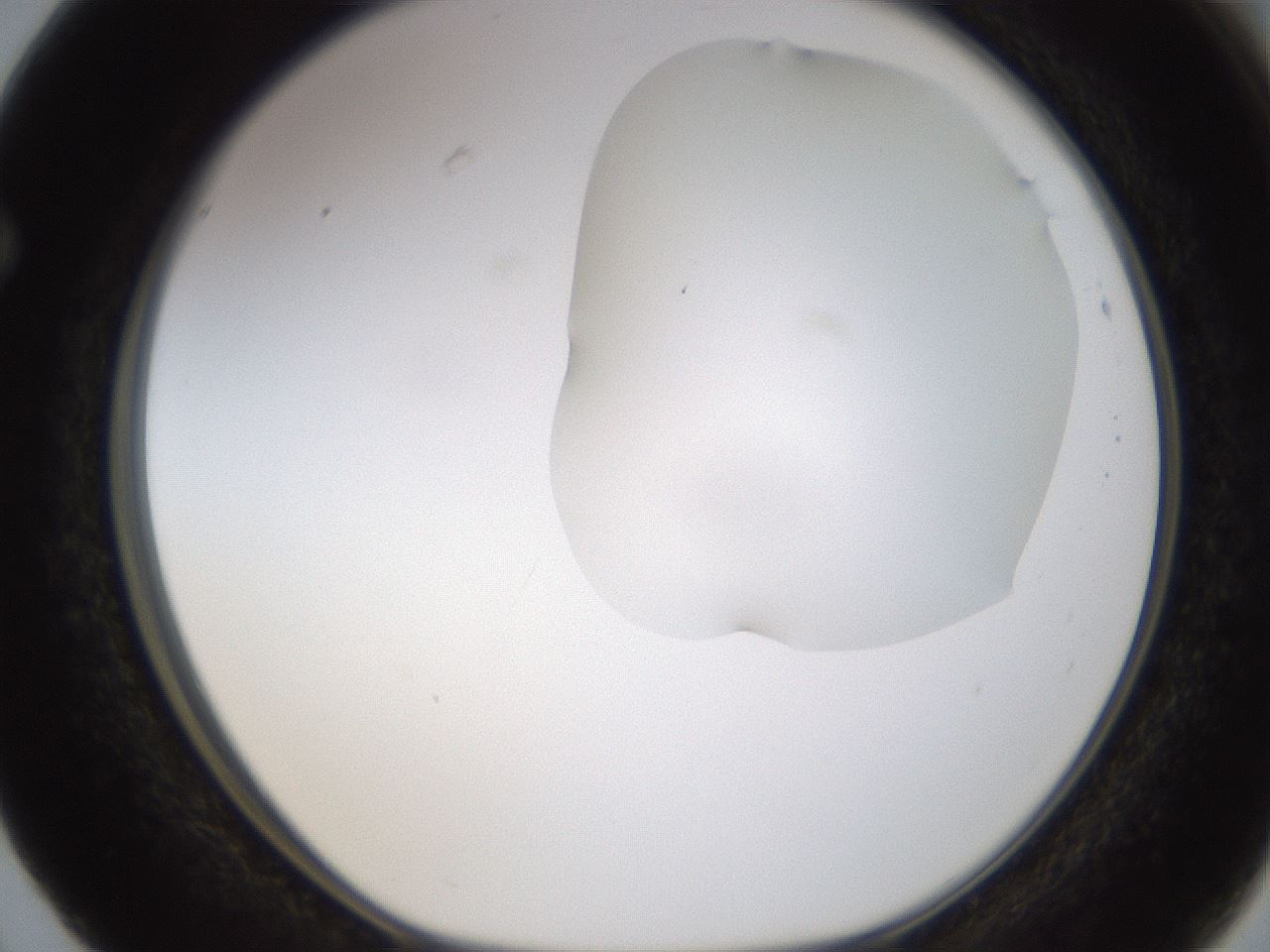 folderID270_plateID1270_batchID4167_wellNum63_profileID1_d1_r73844_ef.jpg