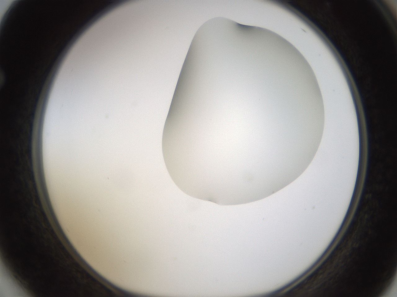 folderID270_plateID1270_batchID4167_wellNum64_profileID1_d1_r73846_ef.jpg
