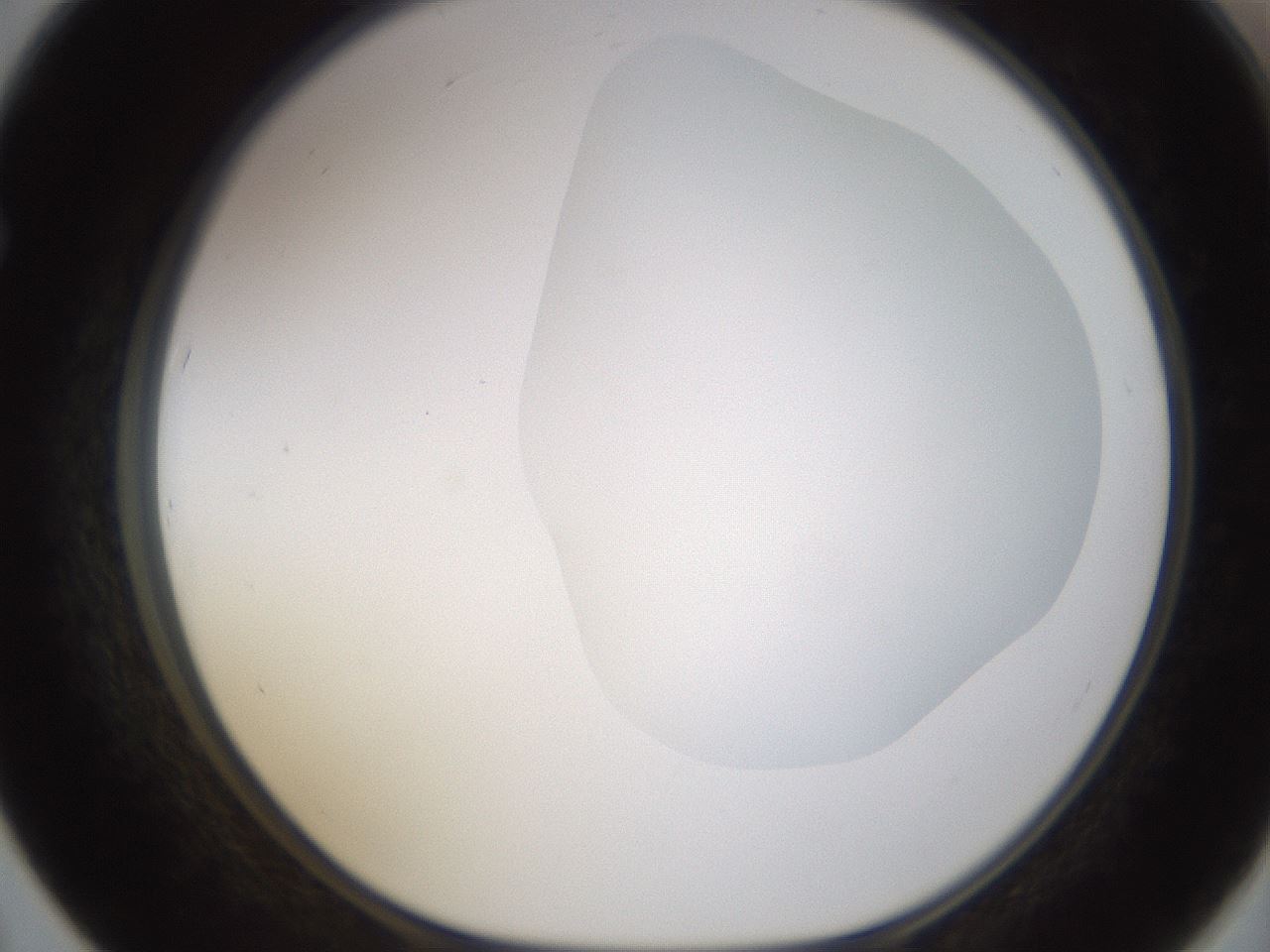 folderID270_plateID1270_batchID4167_wellNum67_profileID1_d1_r73852_ef.jpg