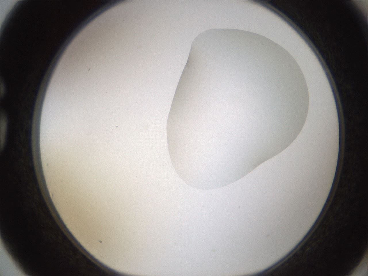 folderID270_plateID1270_batchID4167_wellNum75_profileID1_d1_r73868_ef.jpg