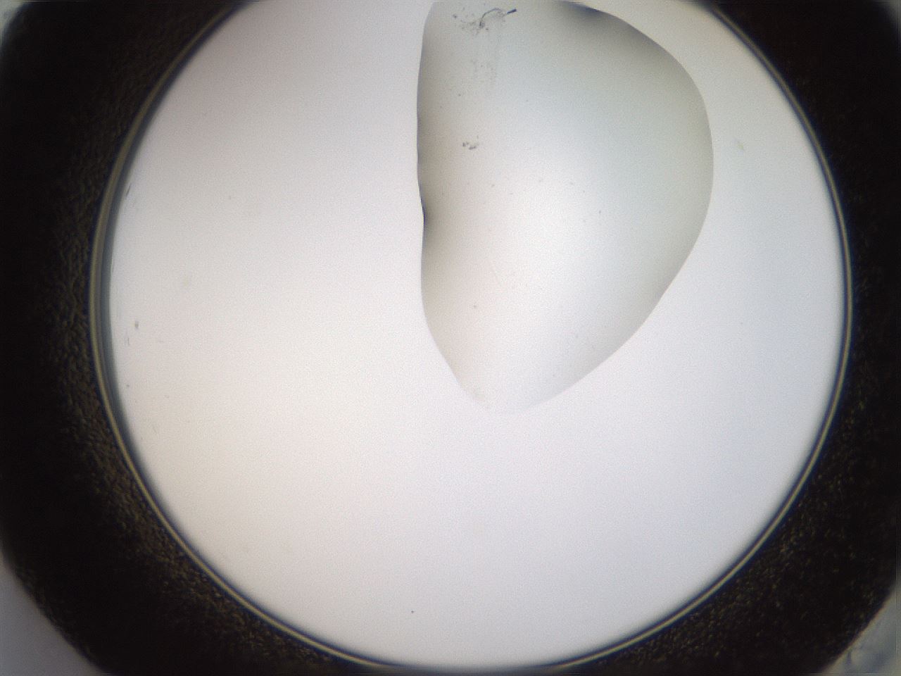 folderID270_plateID1270_batchID4167_wellNum84_profileID1_d2_r73887_ef.jpg