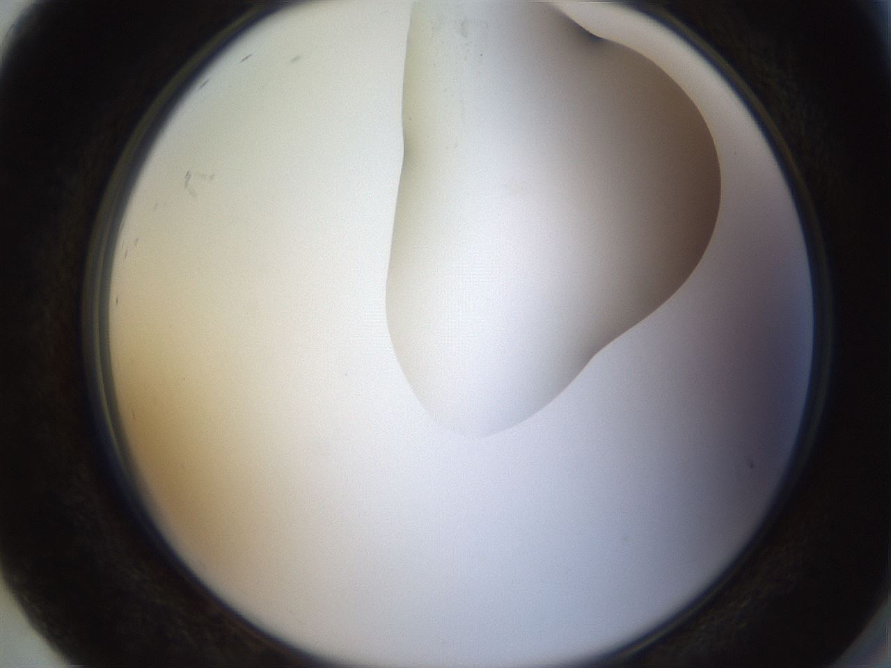 folderID270_plateID1270_batchID4167_wellNum92_profileID1_d2_r73903_ef.jpg