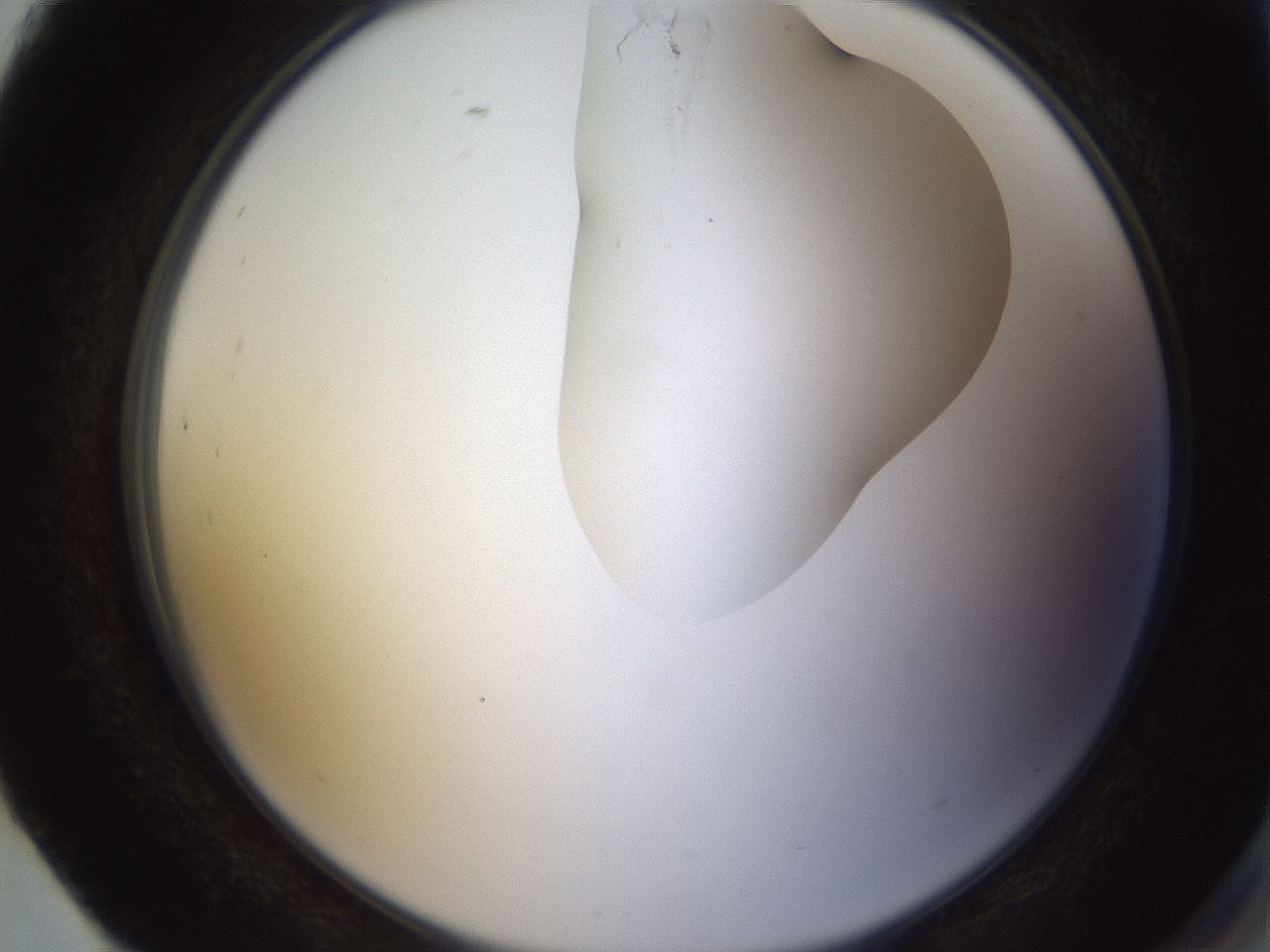 folderID270_plateID1270_batchID4167_wellNum93_profileID1_d2_r73905_ef.jpg