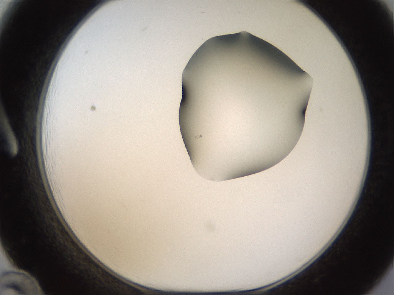 folderID271_plateID1271_batchID4169_wellNum12_profileID1_d1_r74318_ef.jpg