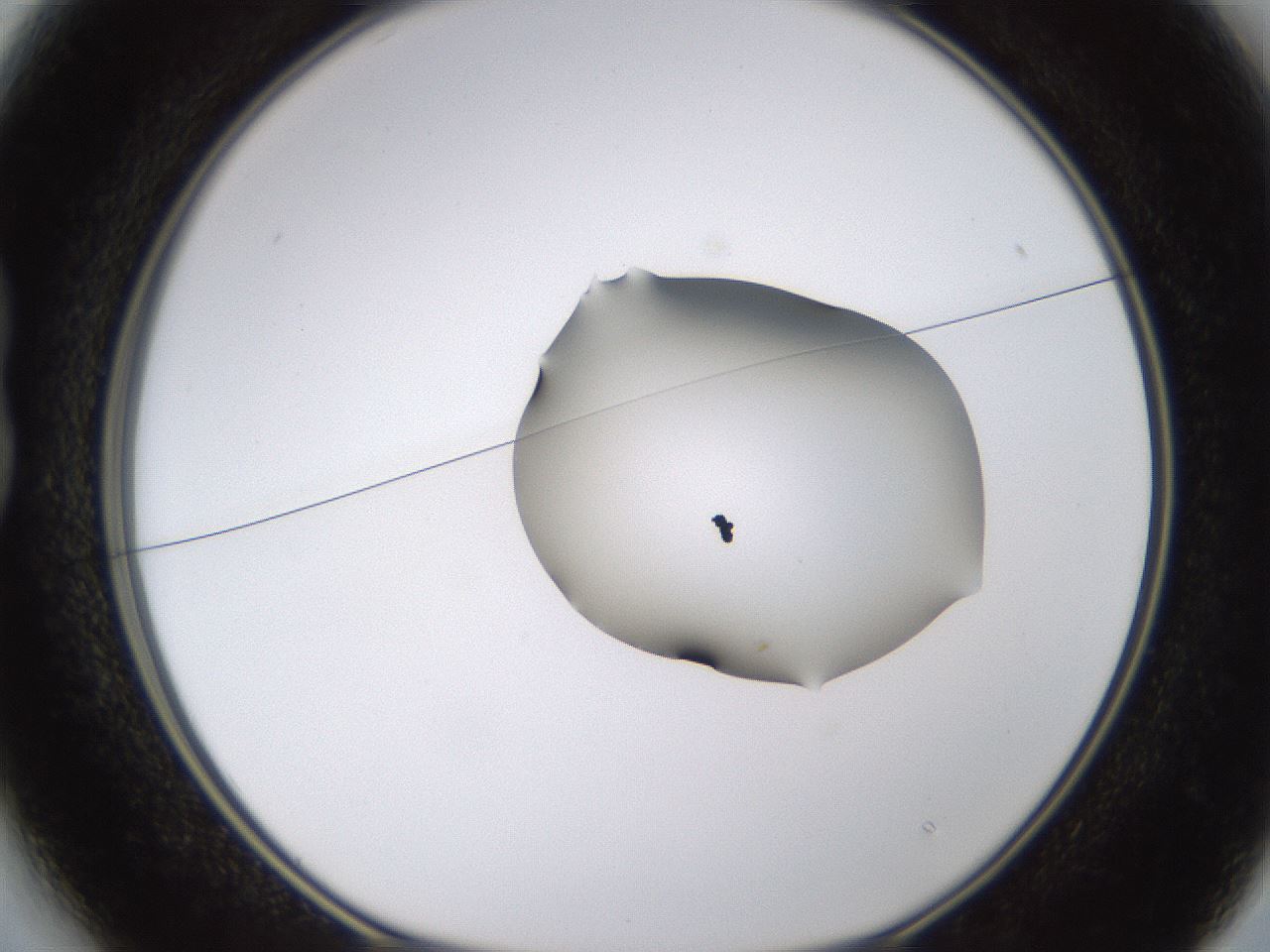 folderID271_plateID1271_batchID4169_wellNum13_profileID1_d1_r74320_ef.jpg