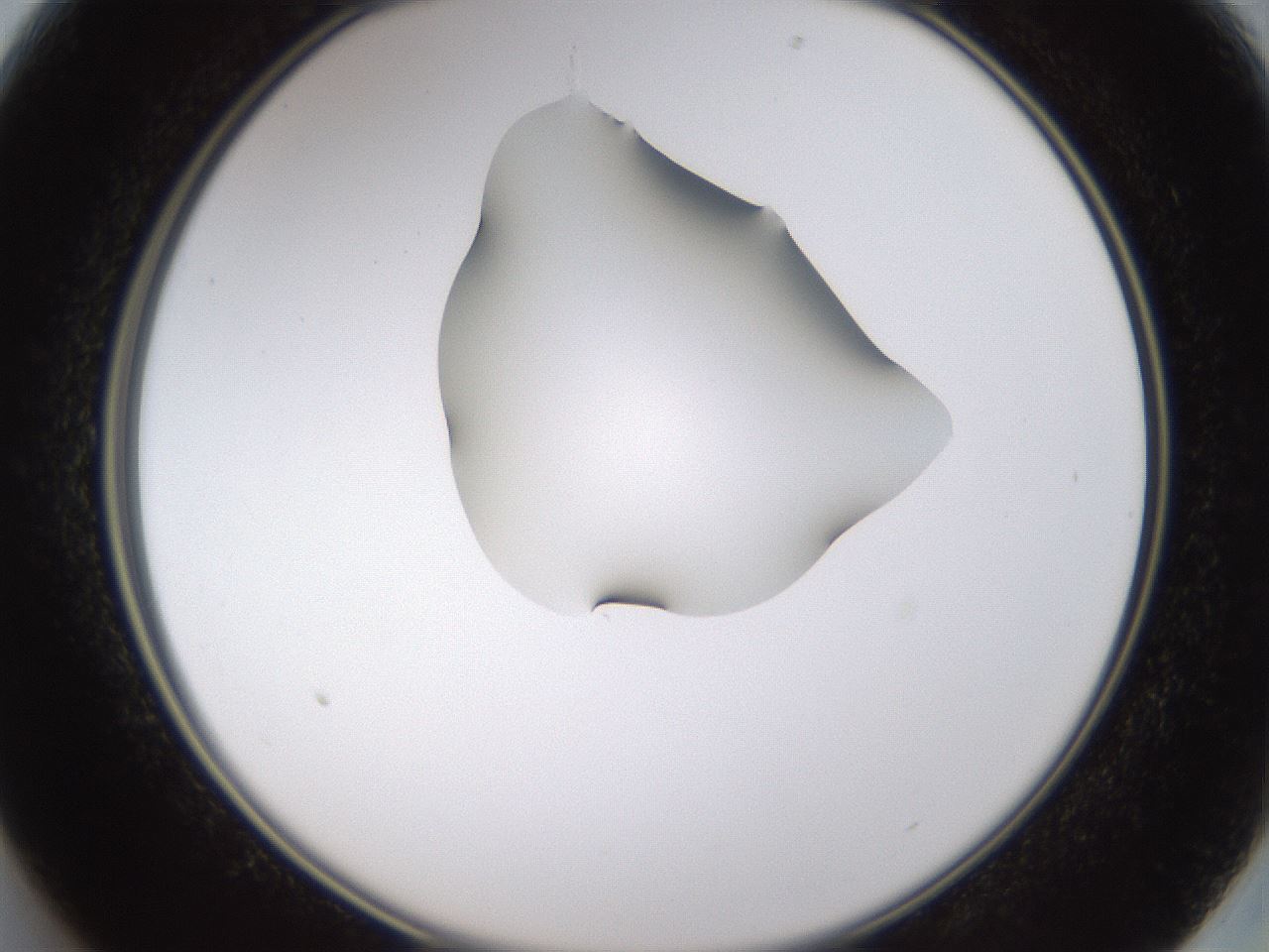 folderID271_plateID1271_batchID4169_wellNum13_profileID1_d2_r74321_ef.jpg