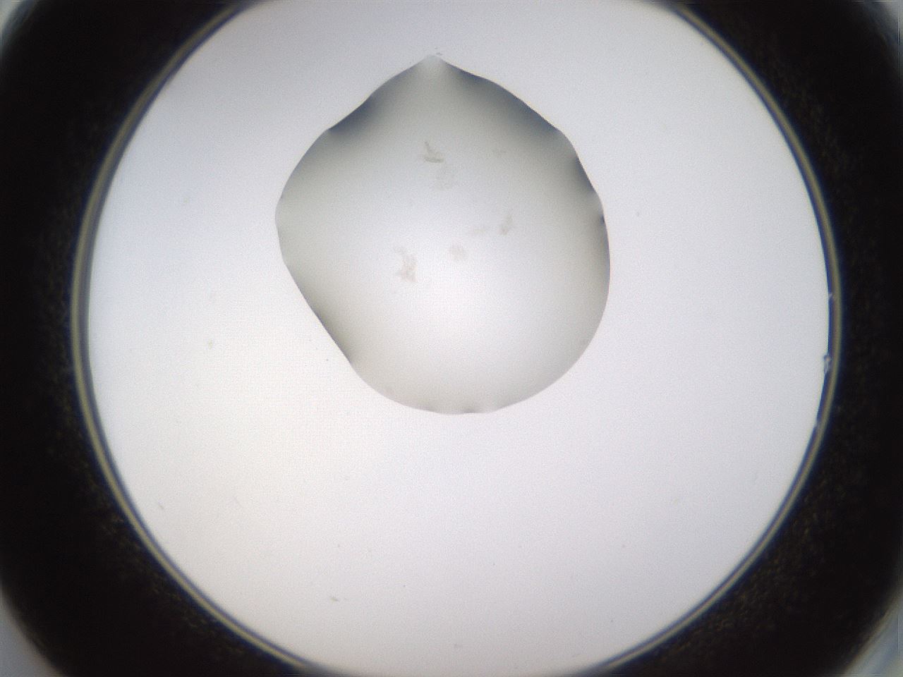 folderID271_plateID1271_batchID4169_wellNum14_profileID1_d2_r74323_ef.jpg