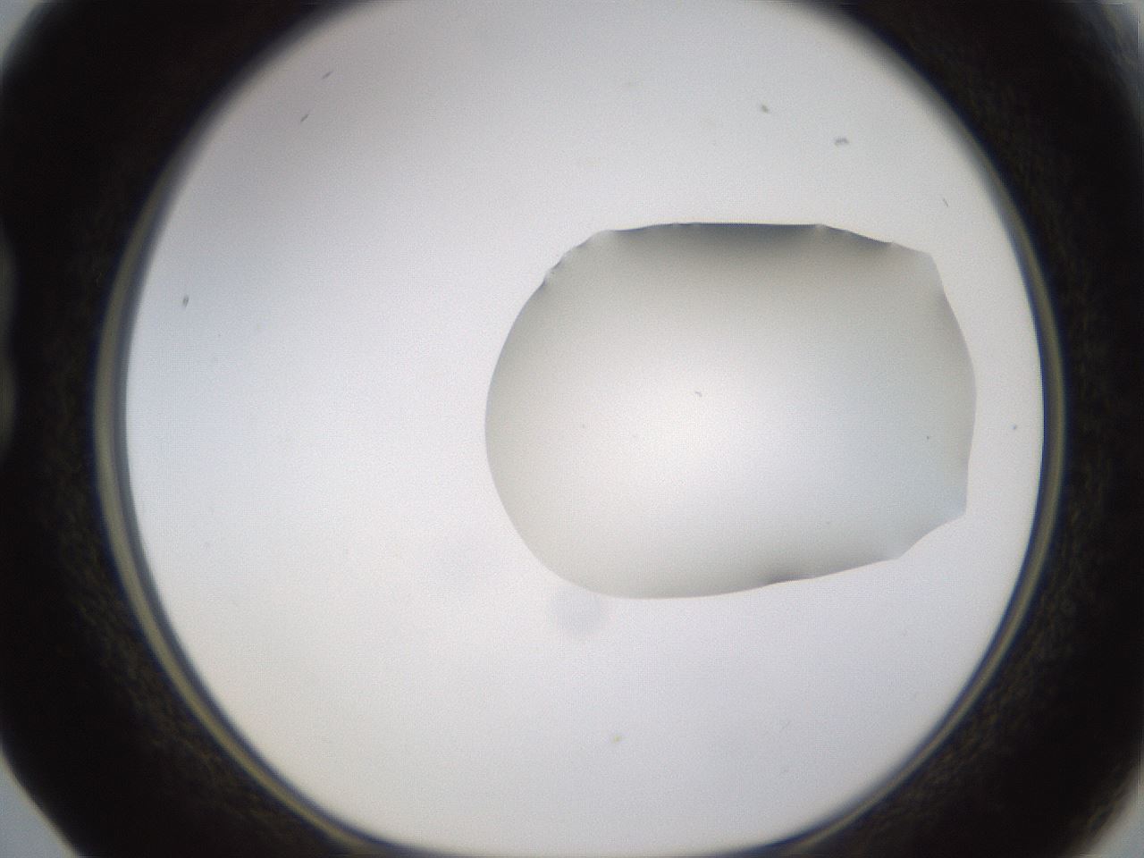 folderID271_plateID1271_batchID4169_wellNum17_profileID1_d1_r74328_ef.jpg