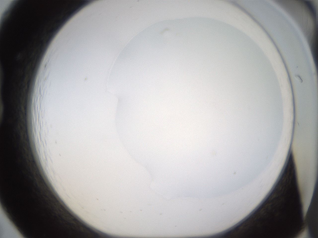 folderID271_plateID1271_batchID4169_wellNum19_profileID1_d1_r74332_ef.jpg