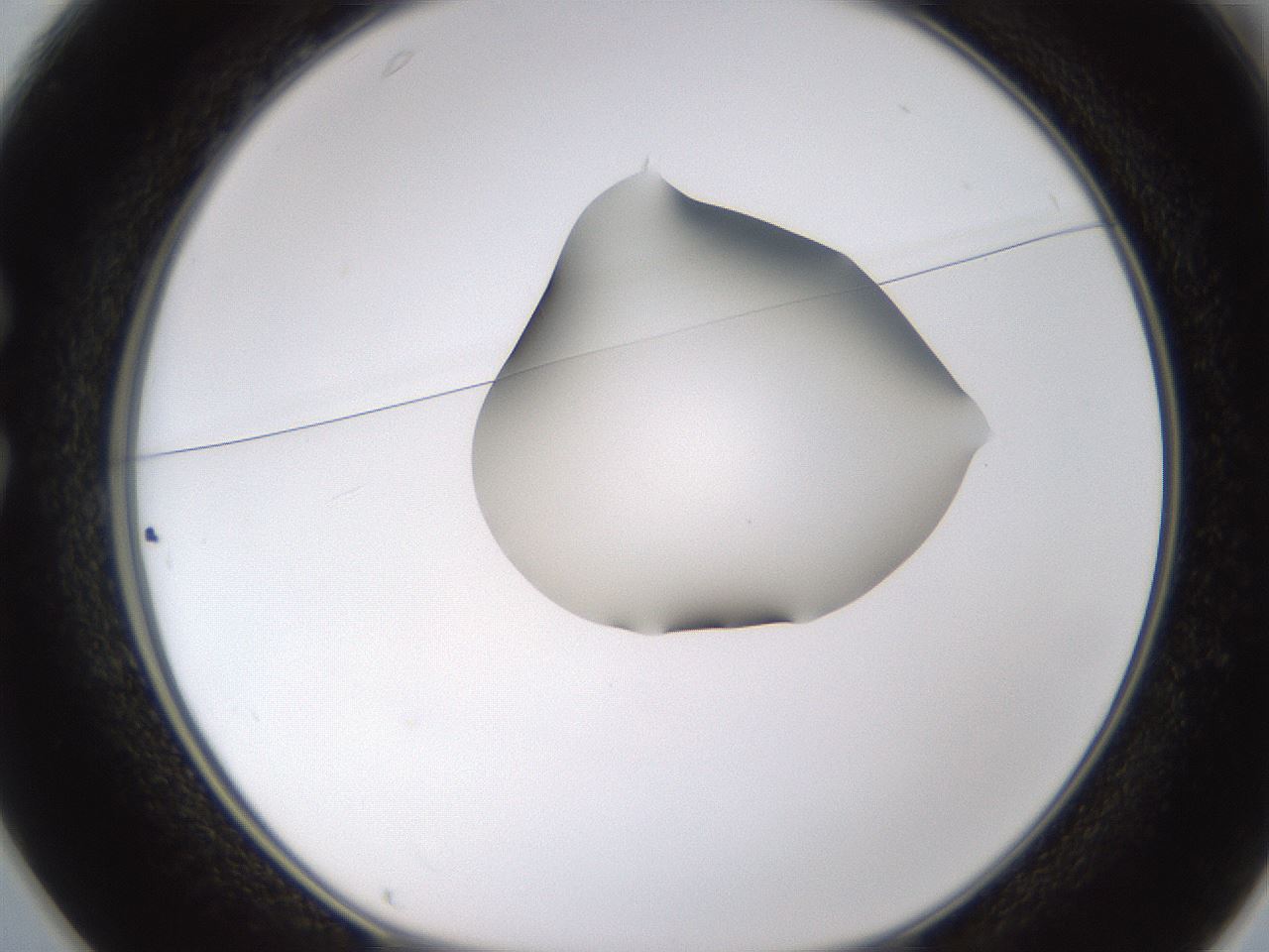 folderID271_plateID1271_batchID4169_wellNum25_profileID1_d1_r74344_ef.jpg
