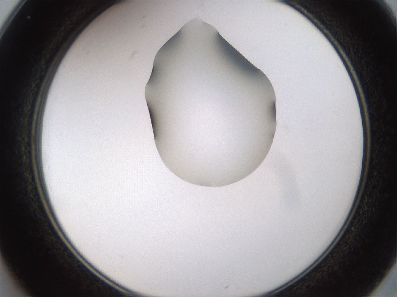 folderID271_plateID1271_batchID4169_wellNum25_profileID1_d2_r74345_ef.jpg