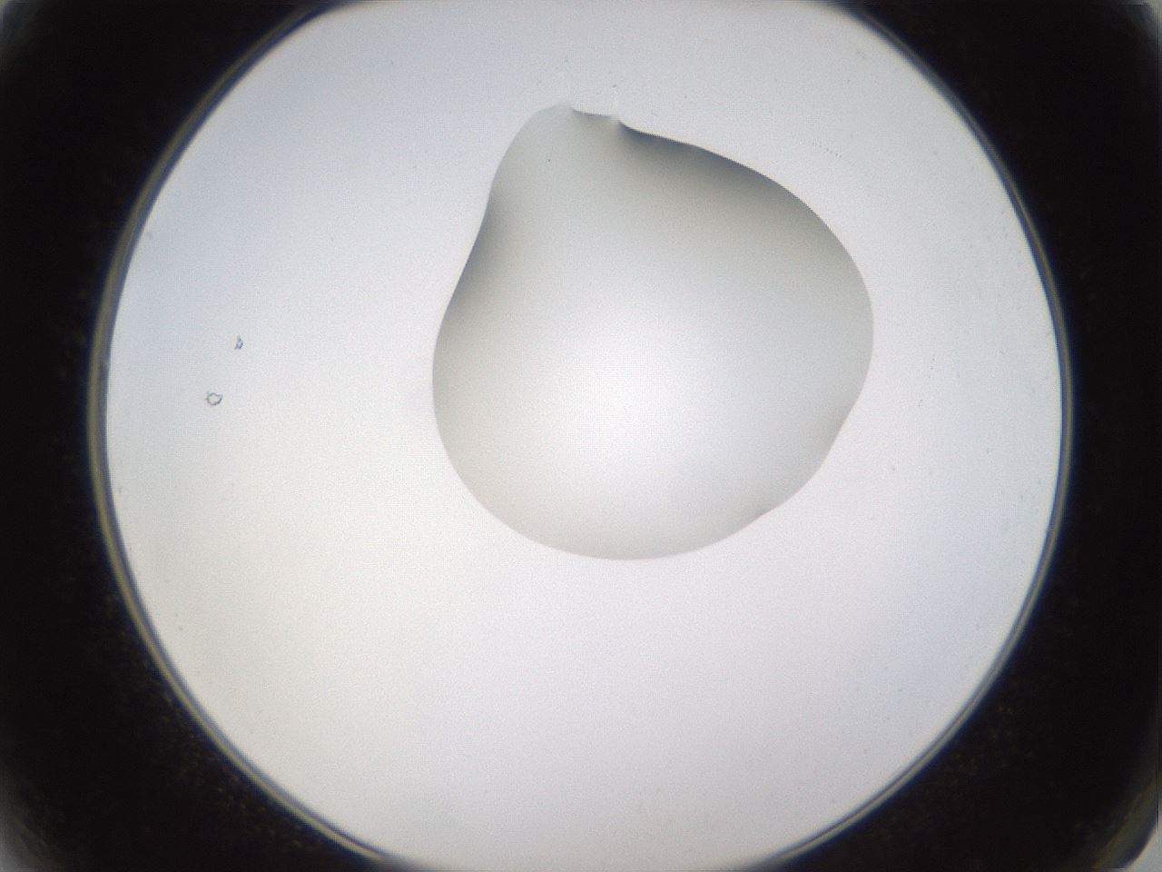 folderID271_plateID1271_batchID4169_wellNum2_profileID1_d2_r74299_ef.jpg