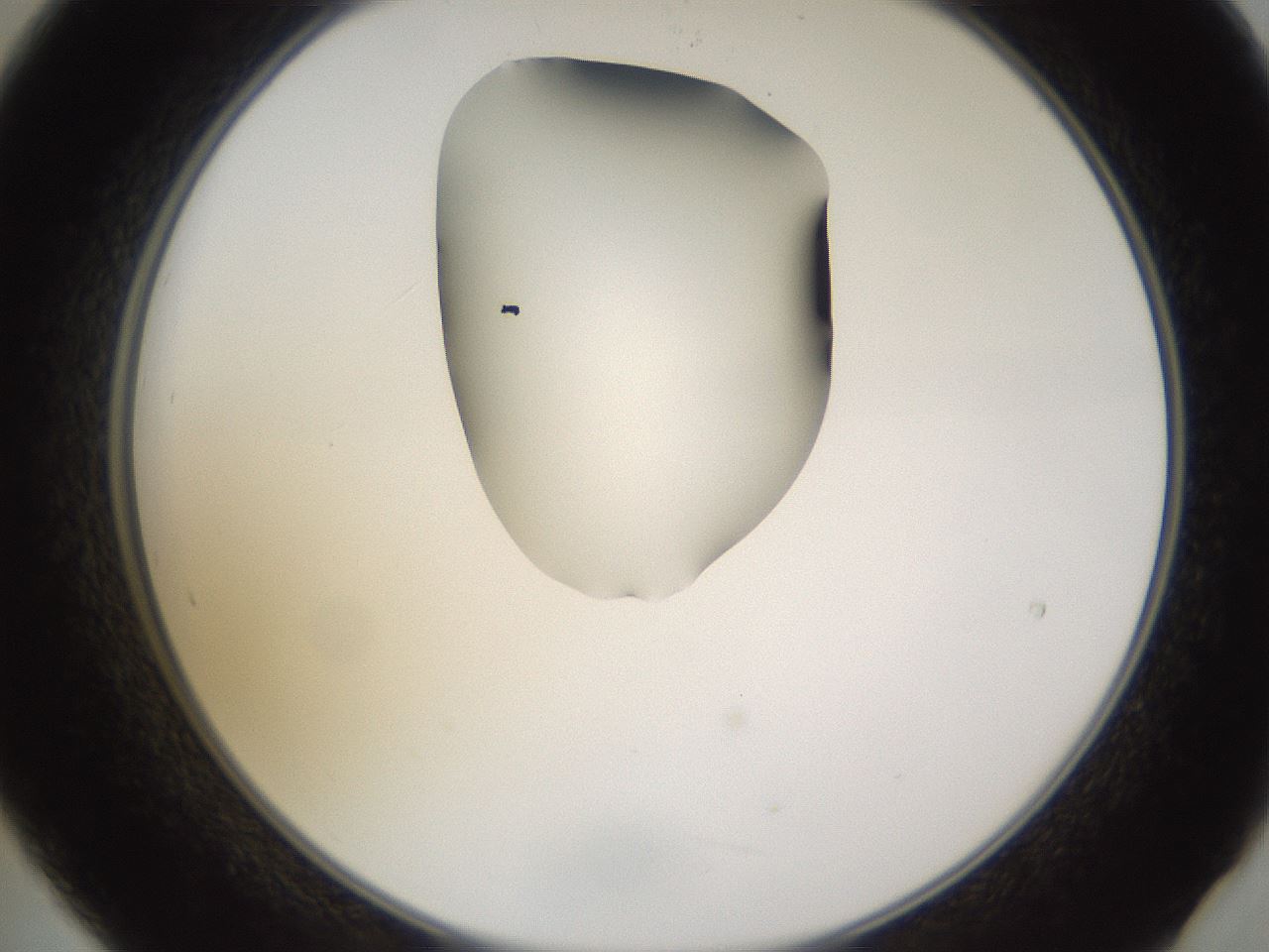 folderID271_plateID1271_batchID4169_wellNum21_profileID1_d2_r74337_ef.jpg