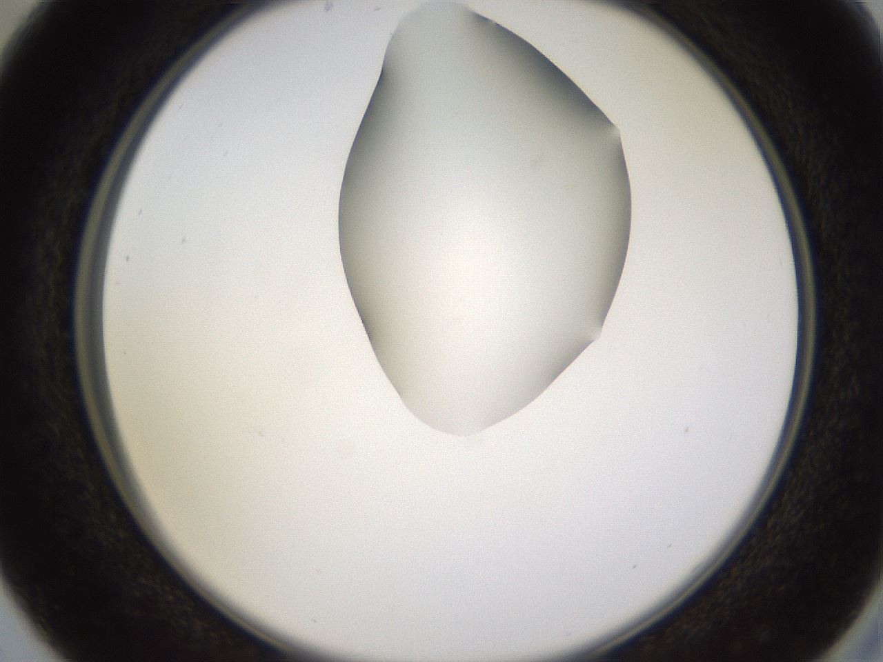 folderID271_plateID1271_batchID4169_wellNum29_profileID1_d2_r74353_ef.jpg