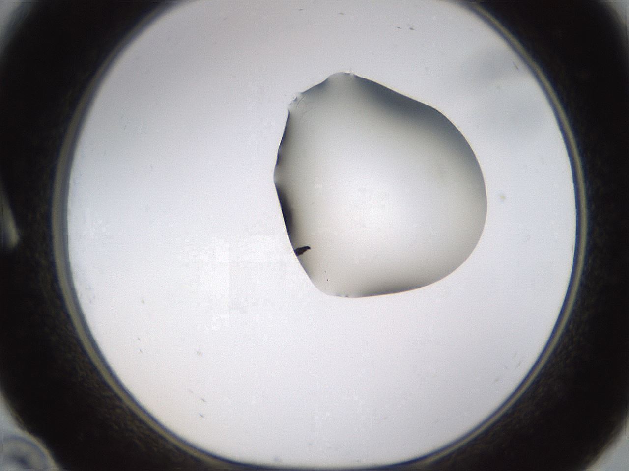 folderID271_plateID1271_batchID4169_wellNum10_profileID1_d1_r74314_ef.jpg