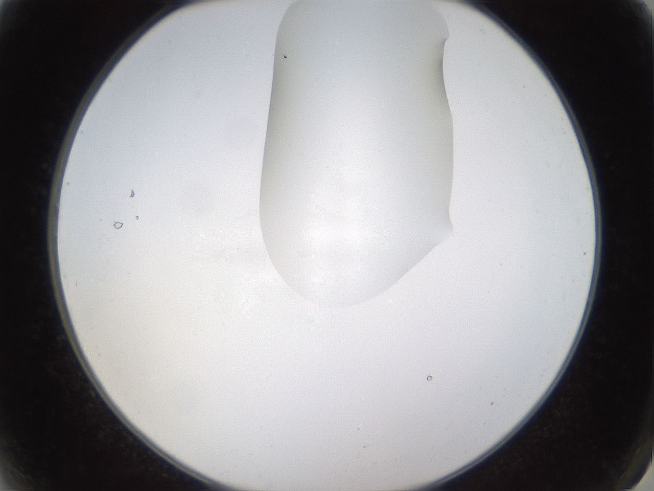 folderID272_plateID1272_batchID4170_wellNum2_profileID1_d2_r74683_ef.jpg