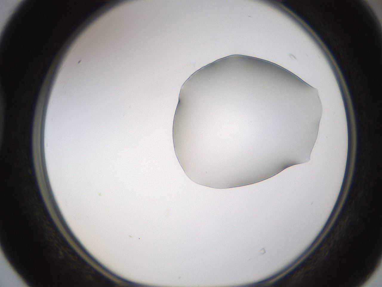 folderID271_plateID1271_batchID4169_wellNum40_profileID1_d1_r74374_ef.jpg