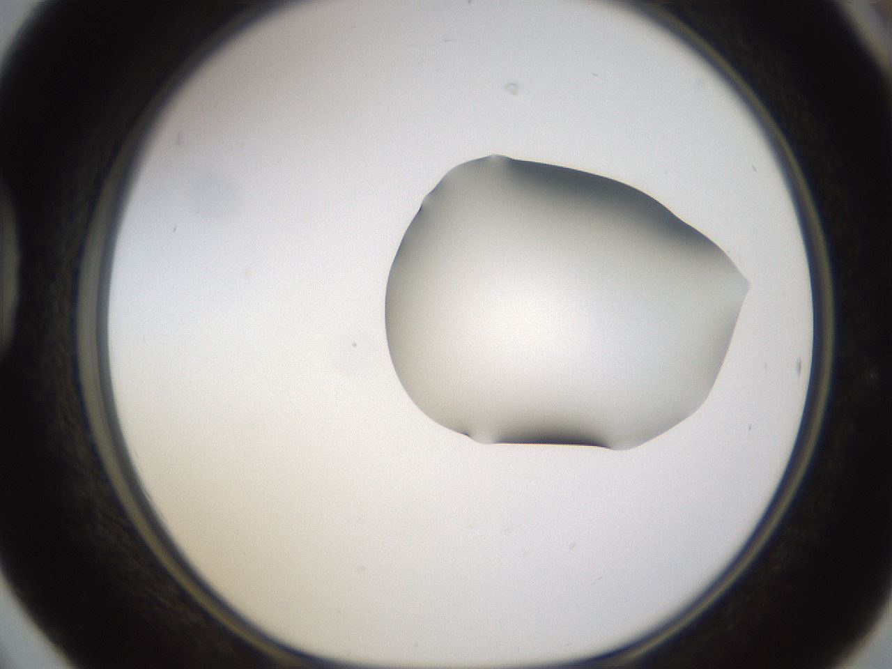 folderID271_plateID1271_batchID4169_wellNum42_profileID1_d1_r74378_ef.jpg