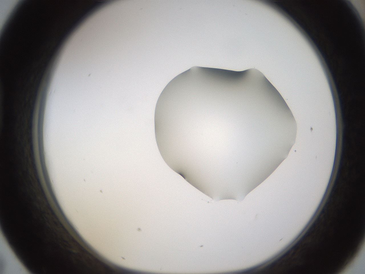 folderID271_plateID1271_batchID4169_wellNum43_profileID1_d1_r74380_ef.jpg