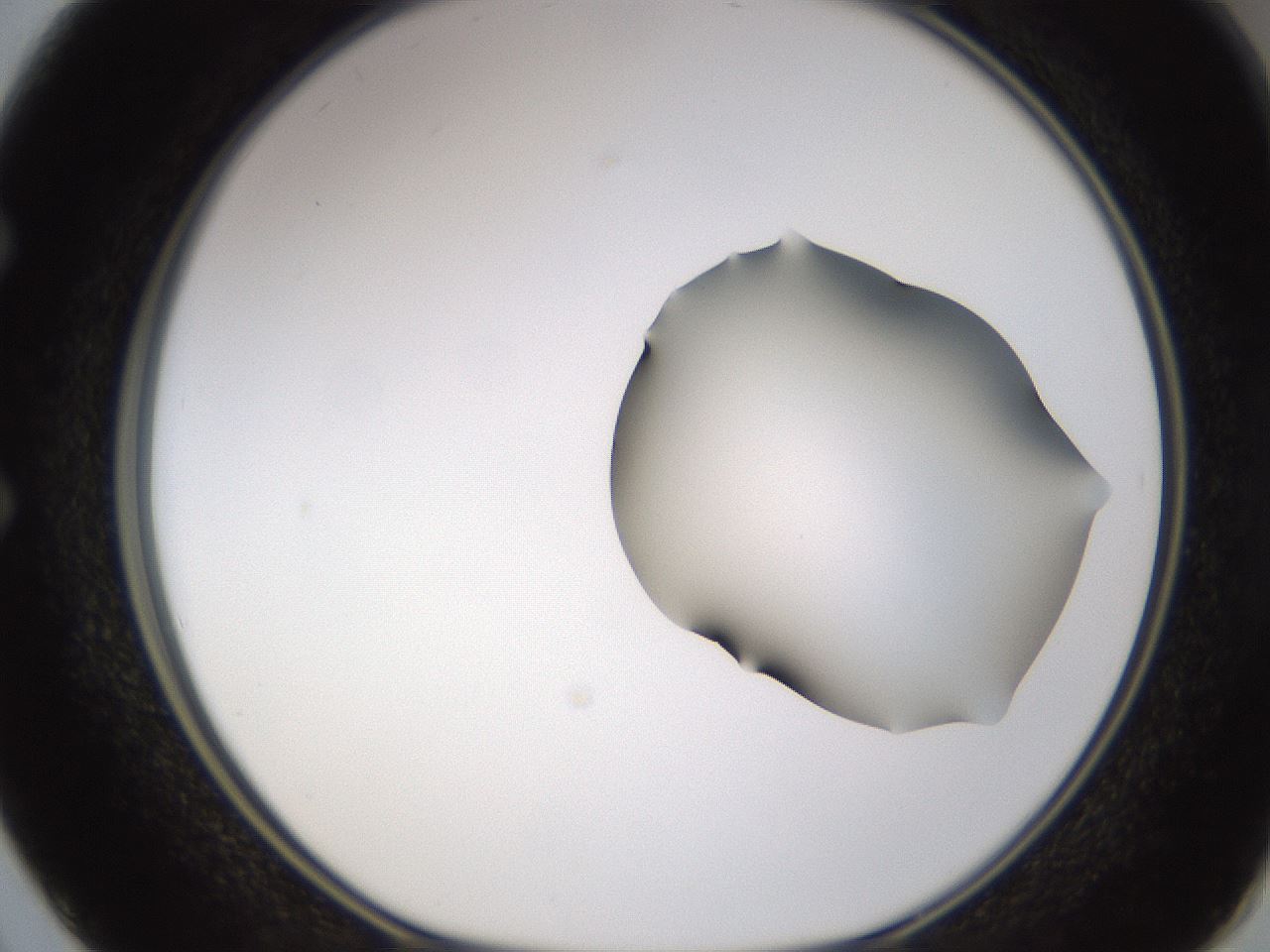 folderID271_plateID1271_batchID4169_wellNum50_profileID1_d1_r74394_ef.jpg