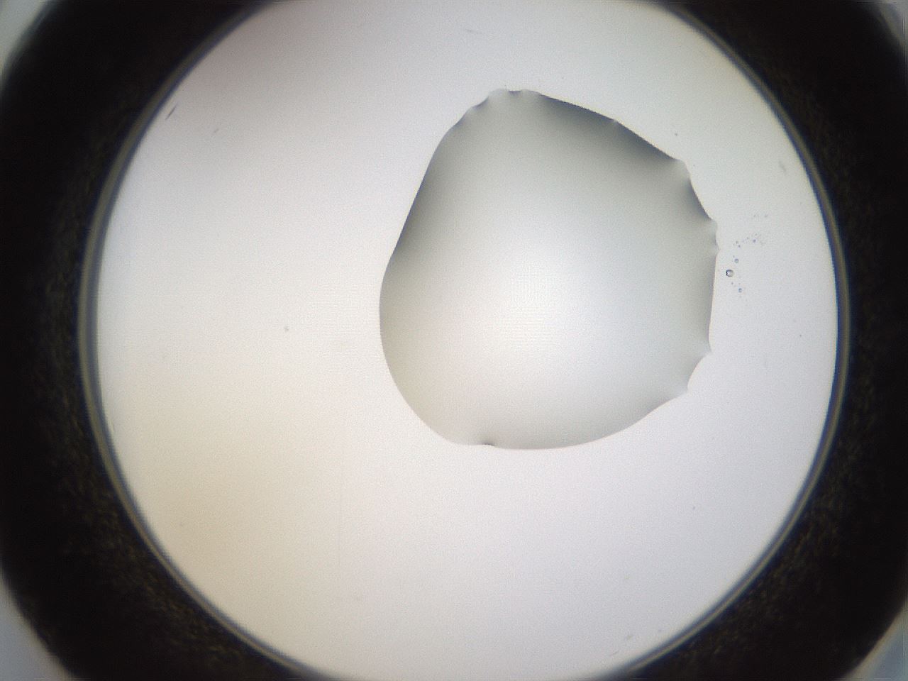 folderID271_plateID1271_batchID4169_wellNum50_profileID1_d2_r74395_ef.jpg