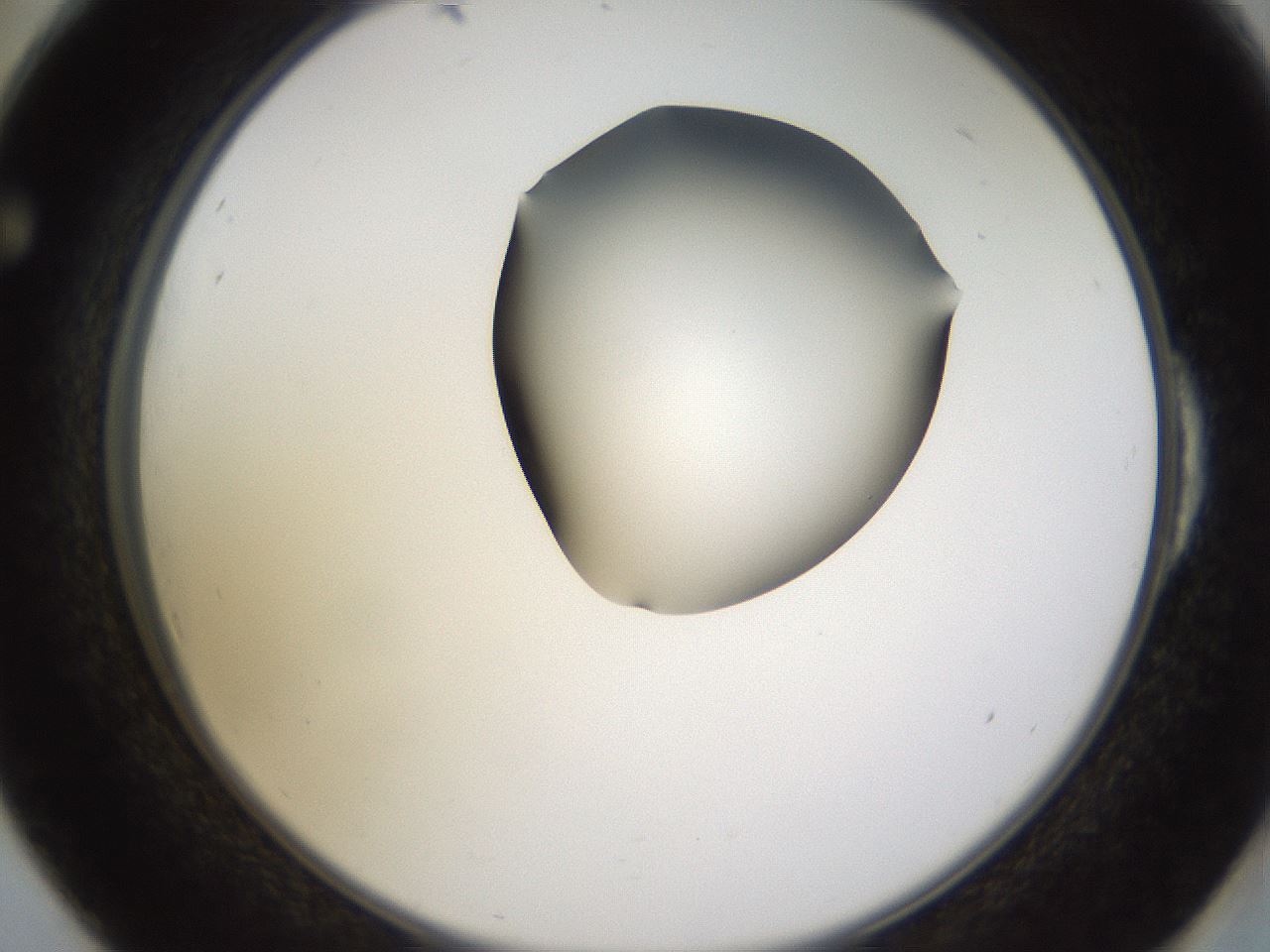 folderID271_plateID1271_batchID4169_wellNum54_profileID1_d2_r74403_ef.jpg