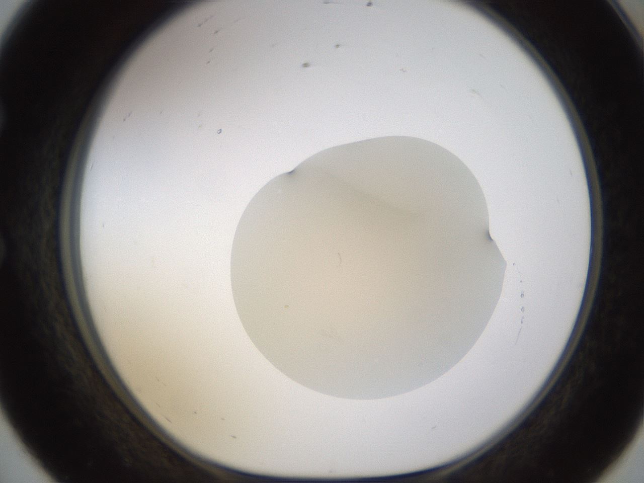 folderID271_plateID1271_batchID4169_wellNum56_profileID1_d1_r74406_ef.jpg