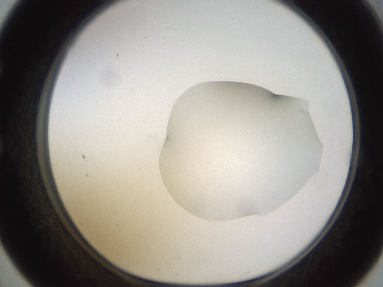 folderID271_plateID1271_batchID4169_wellNum57_profileID1_d1_r74408_ef.jpg