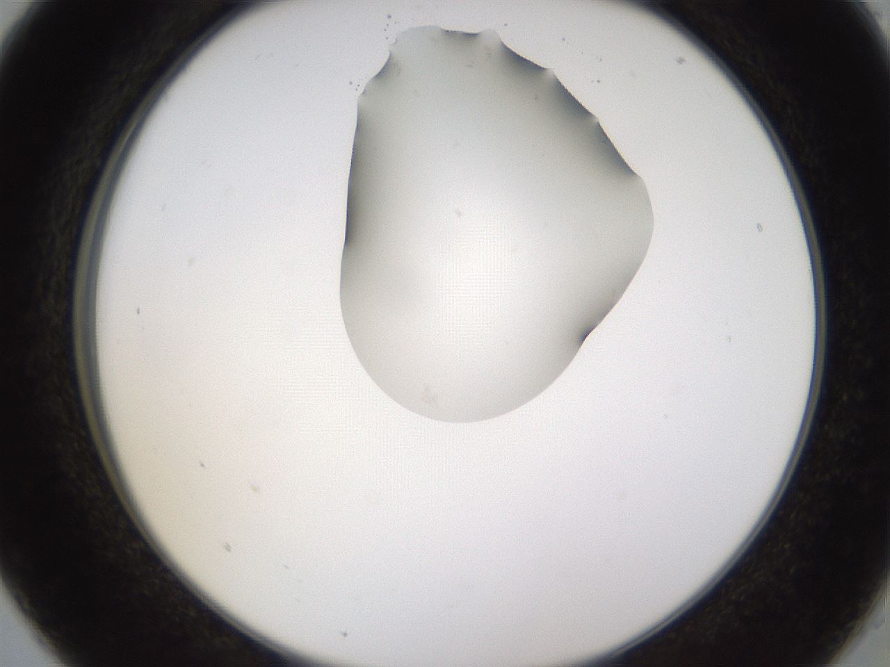 folderID271_plateID1271_batchID4169_wellNum5_profileID1_d2_r74305_ef.jpg
