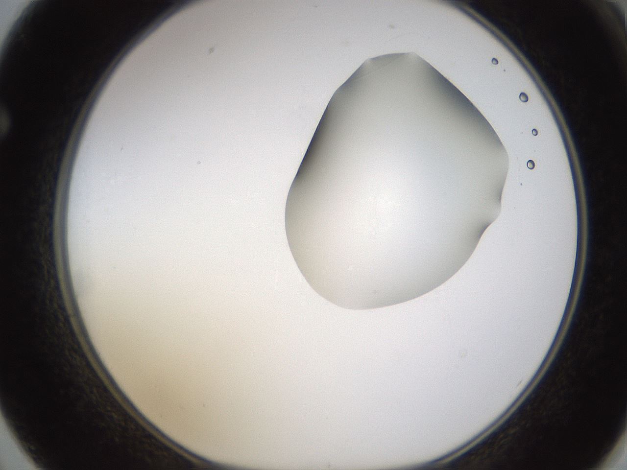folderID271_plateID1271_batchID4169_wellNum62_profileID1_d1_r74418_ef.jpg