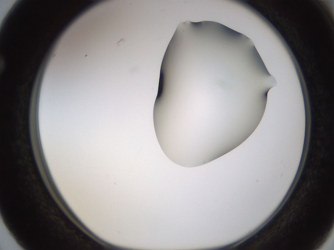 folderID271_plateID1271_batchID4169_wellNum63_profileID1_d1_r74420_ef.jpg