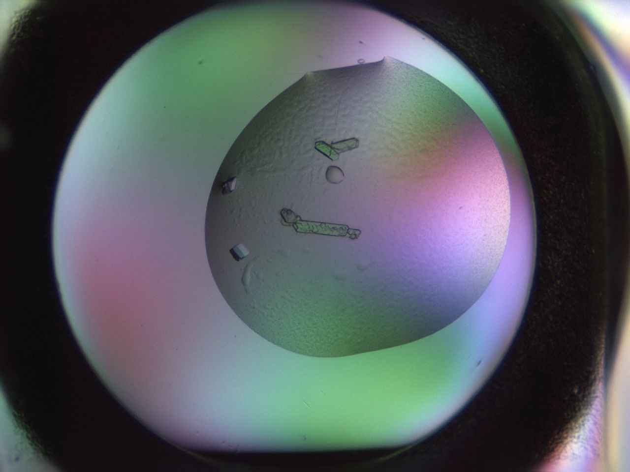 02k6_F2_ImagerDefaults_9.jpg