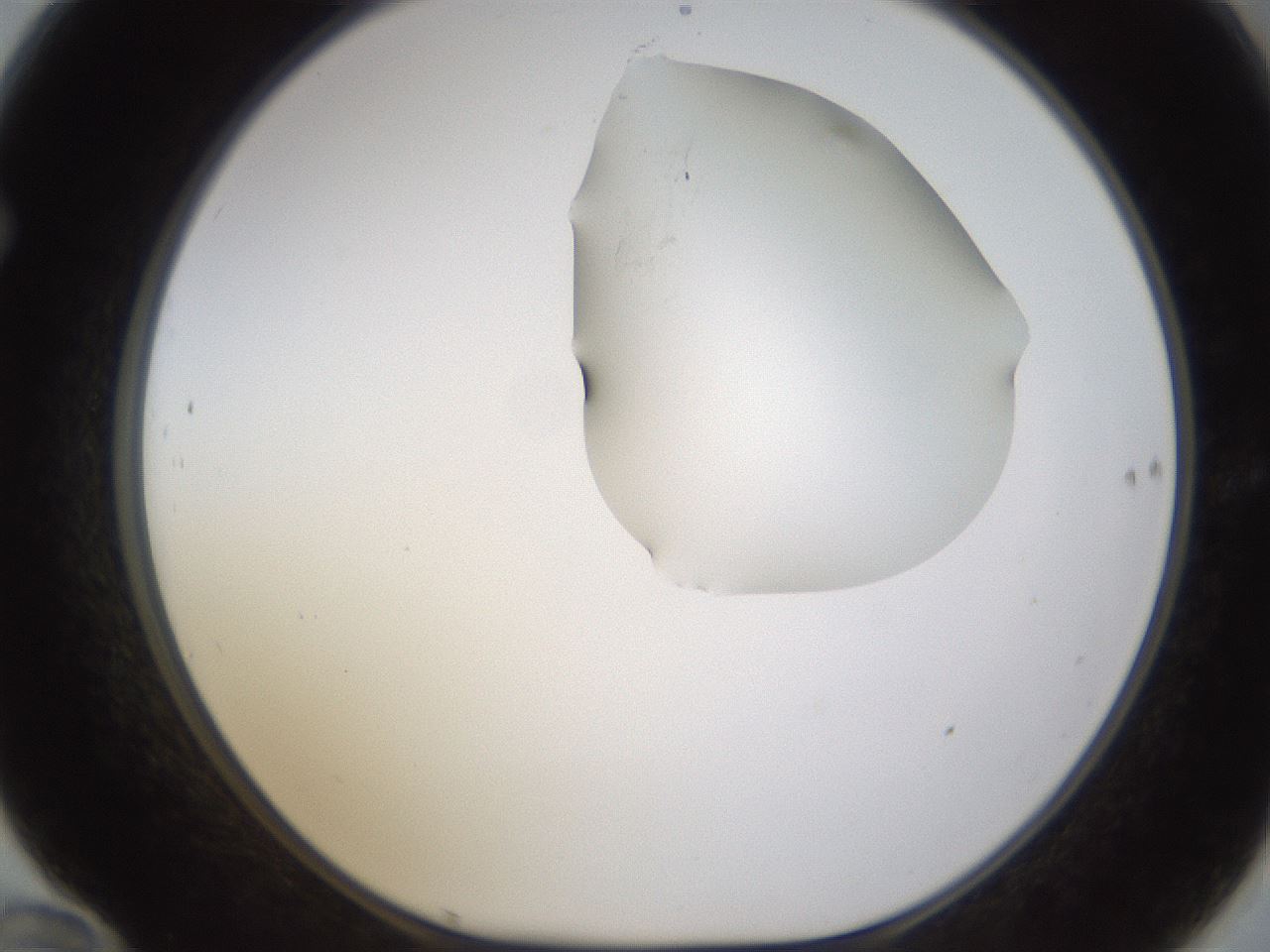 folderID271_plateID1271_batchID4169_wellNum70_profileID1_d1_r74434_ef.jpg