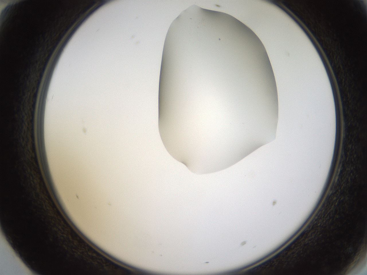 folderID271_plateID1271_batchID4169_wellNum70_profileID1_d2_r74435_ef.jpg