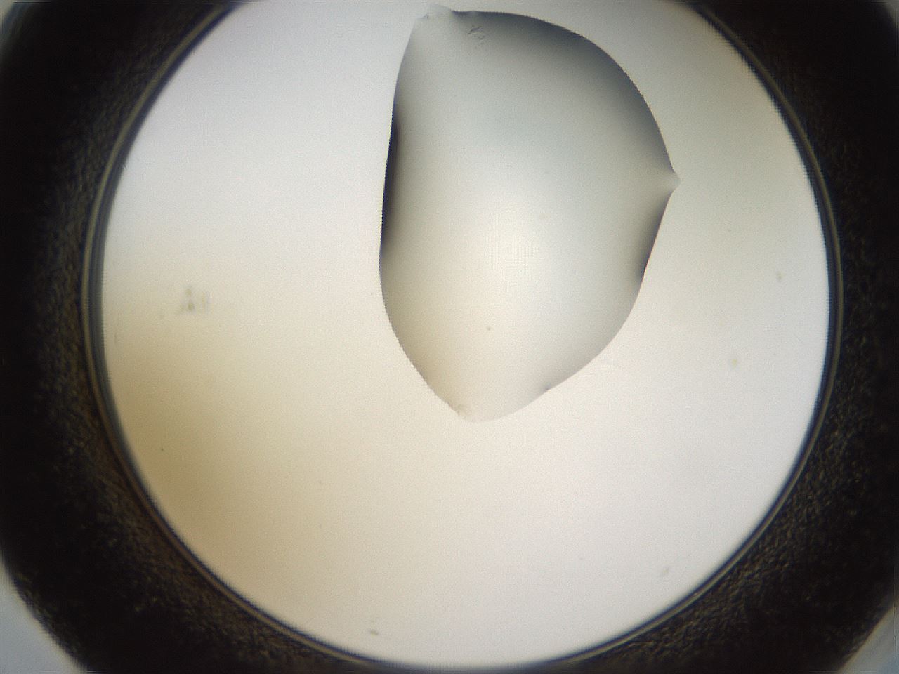 folderID271_plateID1271_batchID4169_wellNum71_profileID1_d2_r74437_ef.jpg