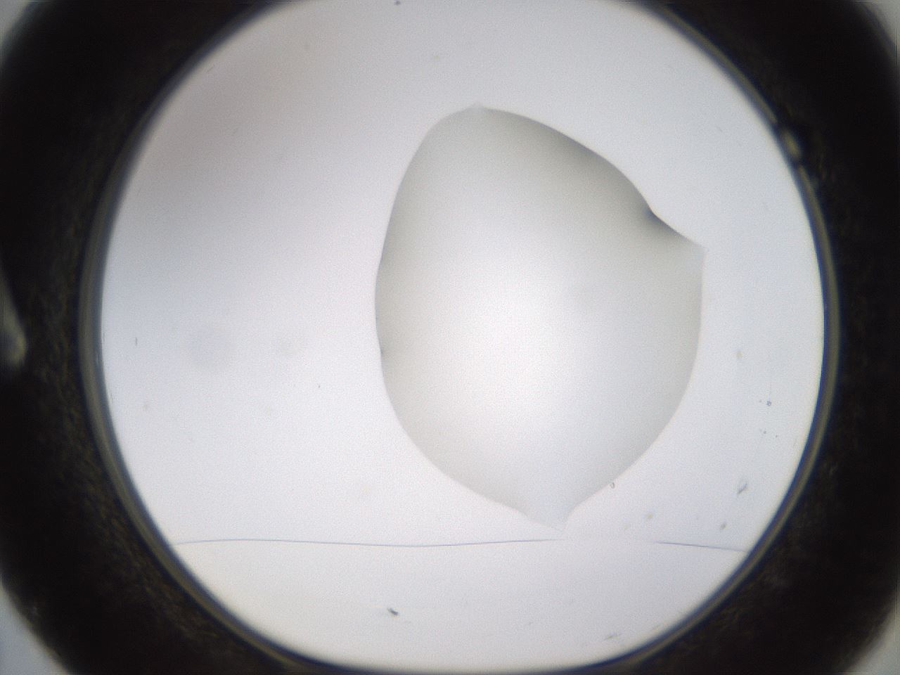 folderID271_plateID1271_batchID4169_wellNum7_profileID1_d1_r74308_ef.jpg