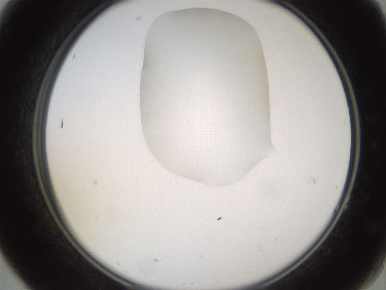 folderID271_plateID1271_batchID4169_wellNum7_profileID1_d2_r74309_ef.jpg