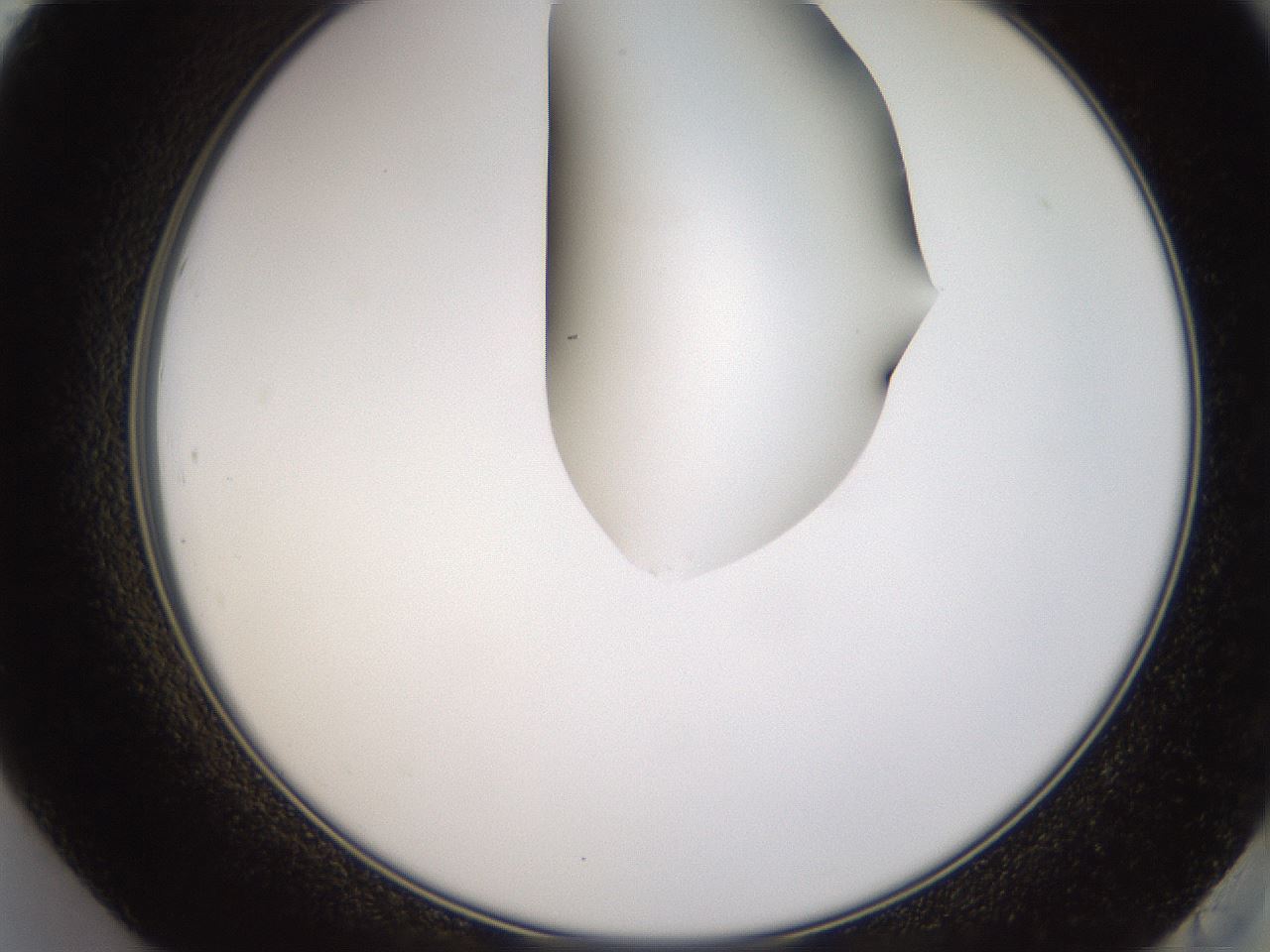 folderID271_plateID1271_batchID4169_wellNum84_profileID1_d2_r74463_ef.jpg
