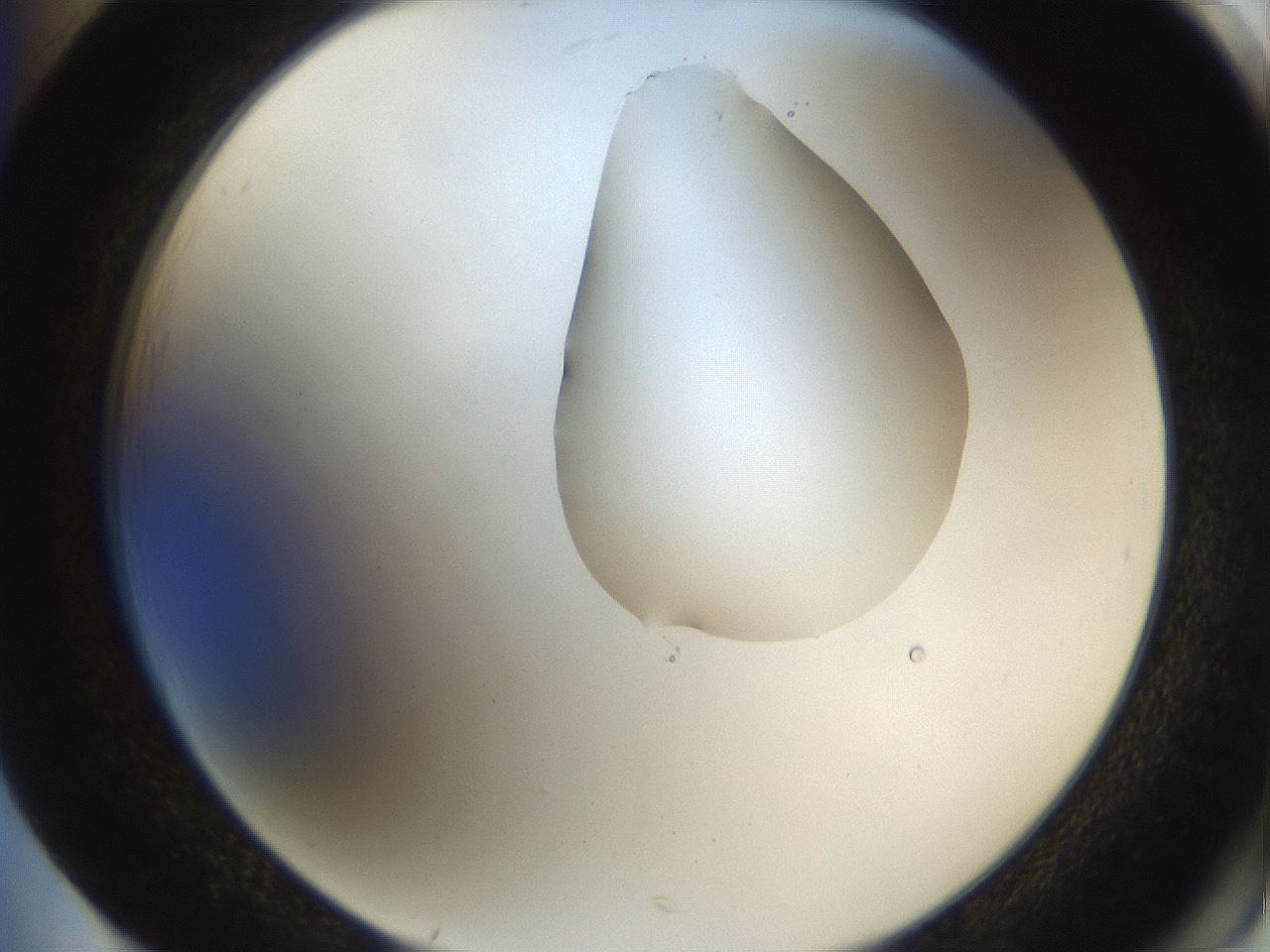 folderID271_plateID1271_batchID4169_wellNum85_profileID1_d2_r74465_ef.jpg