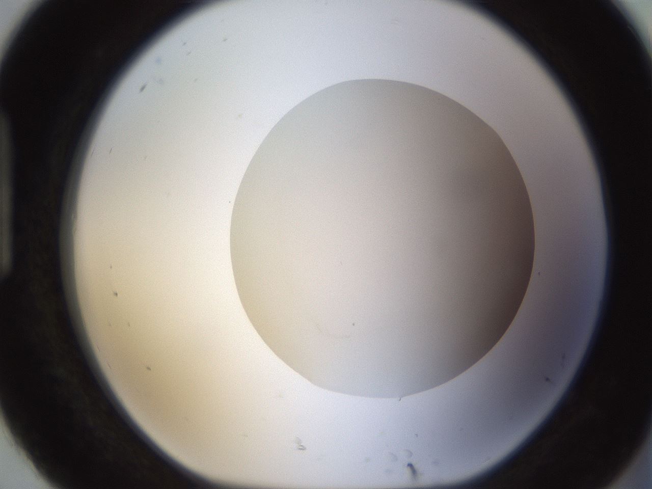 folderID271_plateID1271_batchID4169_wellNum92_profileID1_d1_r74478_ef.jpg