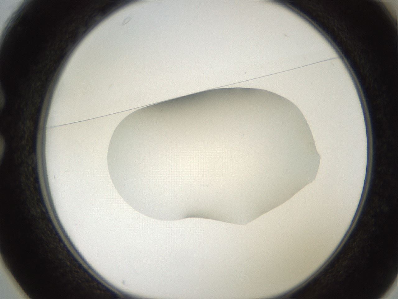 folderID271_plateID2271_batchID10709_wellNum25_profileID1_d1_r158464_ef.jpg