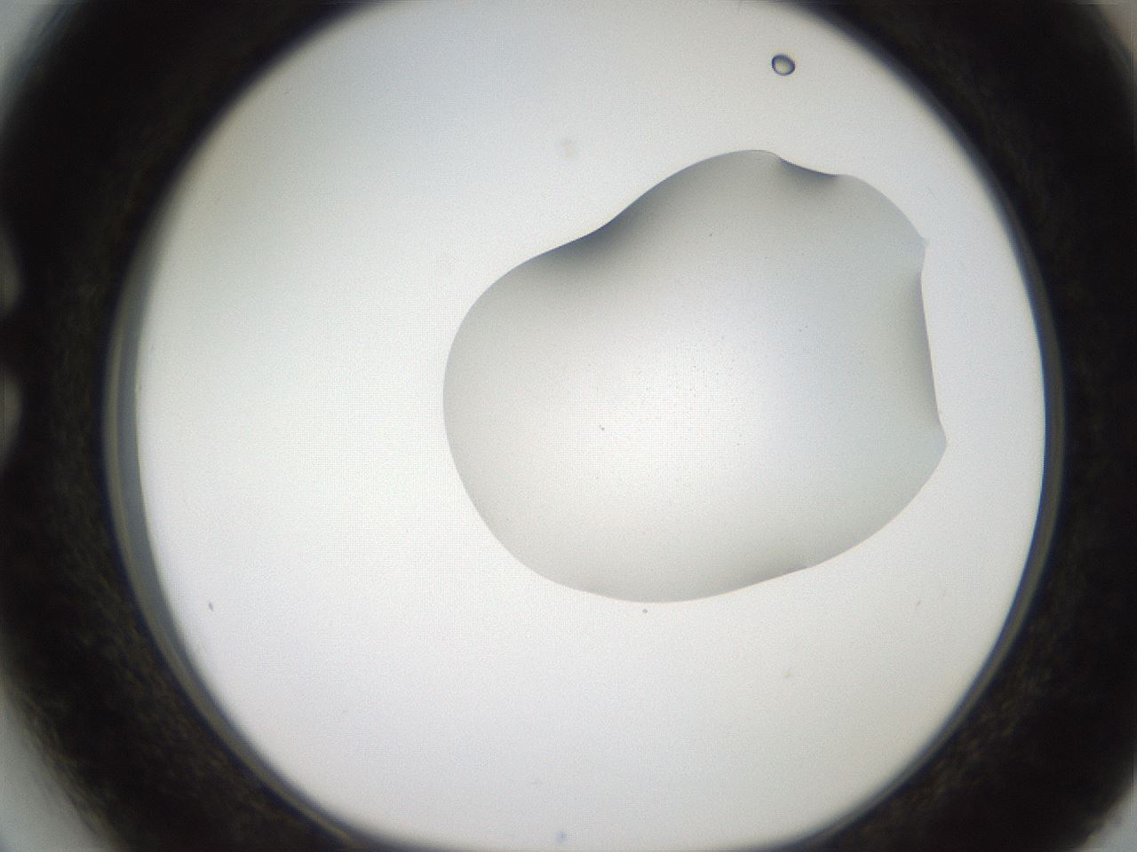 folderID271_plateID2271_batchID10709_wellNum27_profileID1_d1_r158466_ef.jpg