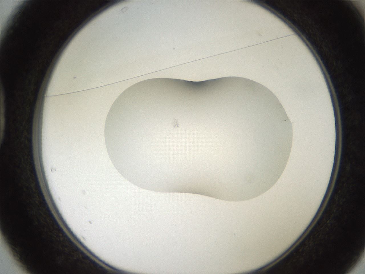 folderID271_plateID2271_batchID10709_wellNum37_profileID1_d1_r158476_ef.jpg