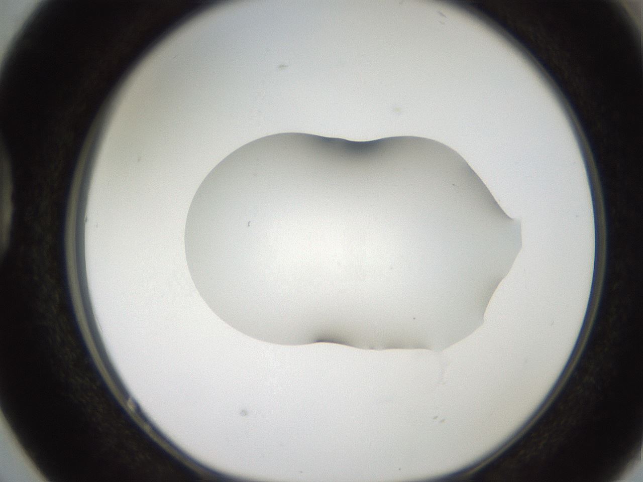 folderID271_plateID2271_batchID10709_wellNum38_profileID1_d1_r158477_ef.jpg