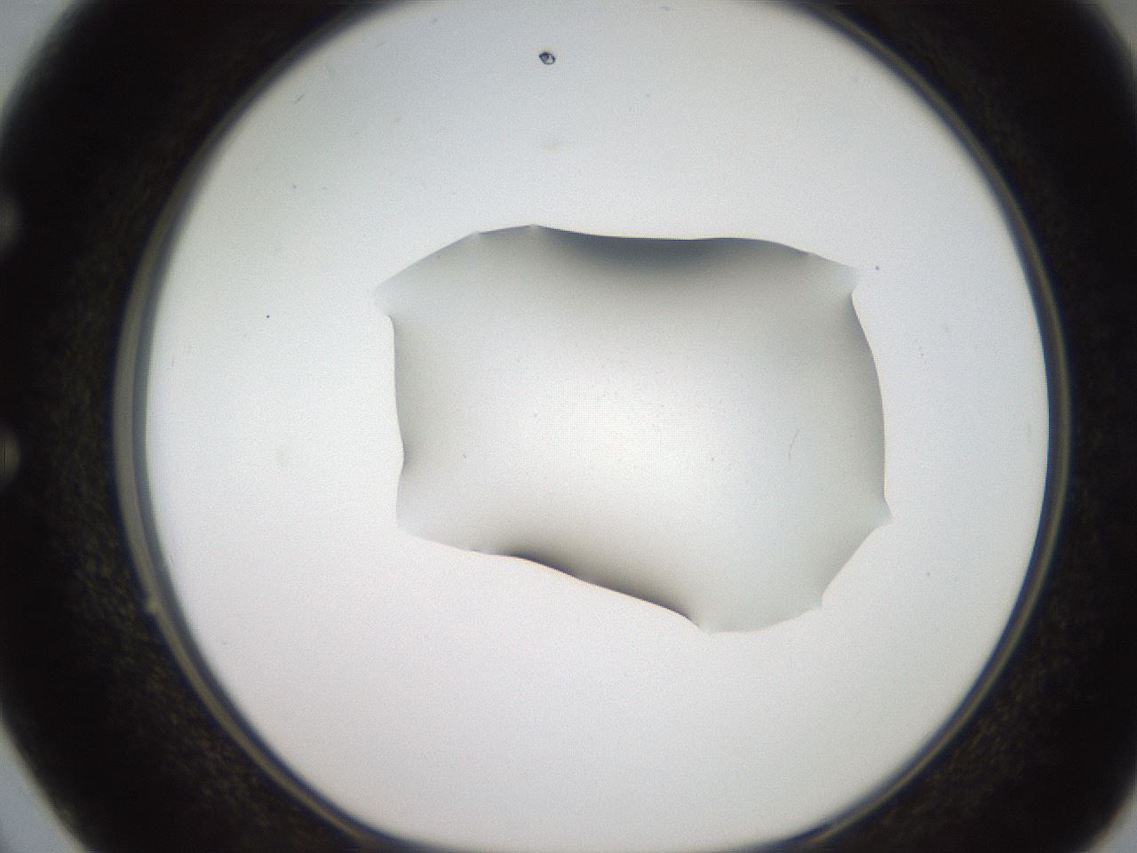 folderID271_plateID2271_batchID10709_wellNum50_profileID1_d1_r158489_ef.jpg