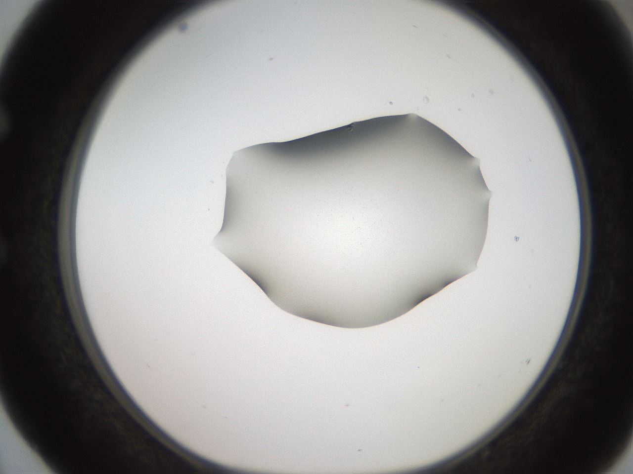 folderID271_plateID2271_batchID10709_wellNum52_profileID1_d1_r158491_ef.jpg