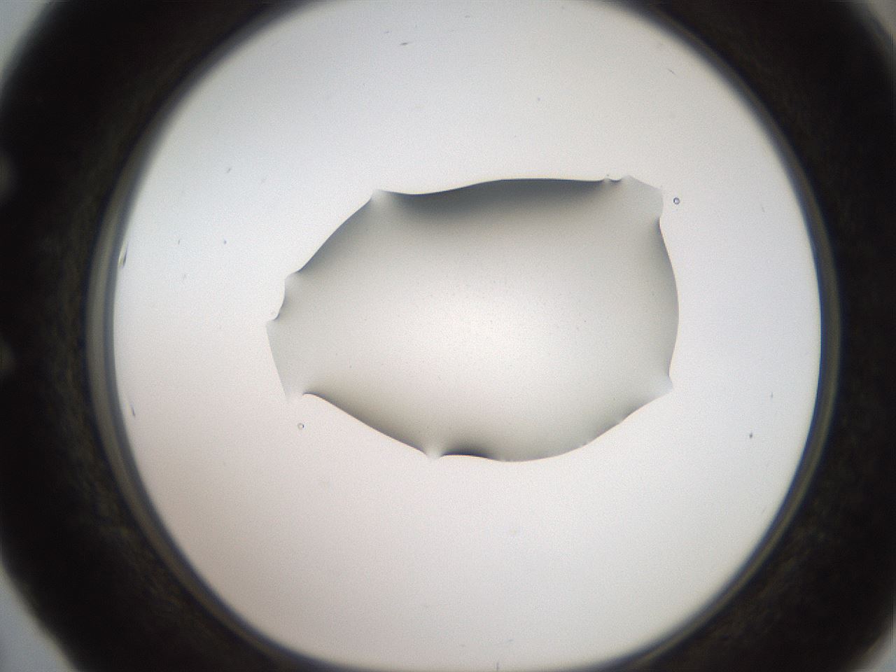 folderID271_plateID2271_batchID10709_wellNum53_profileID1_d1_r158492_ef.jpg