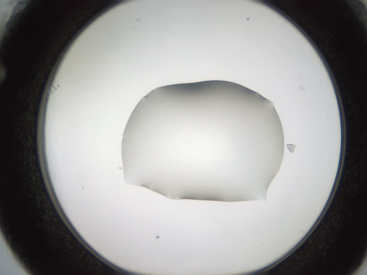 folderID271_plateID2271_batchID10709_wellNum61_profileID1_d1_r158500_ef.jpg