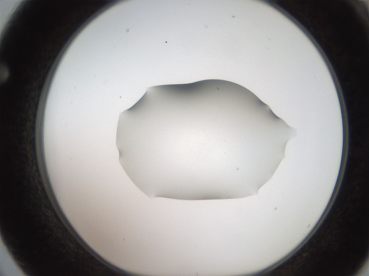 folderID271_plateID2271_batchID10709_wellNum62_profileID1_d1_r158501_ef.jpg