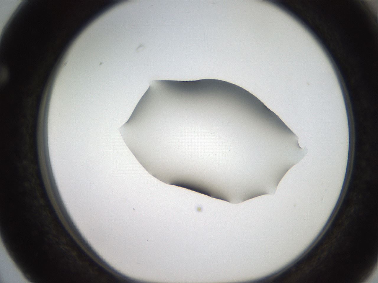 folderID271_plateID2271_batchID10709_wellNum63_profileID1_d1_r158502_ef.jpg